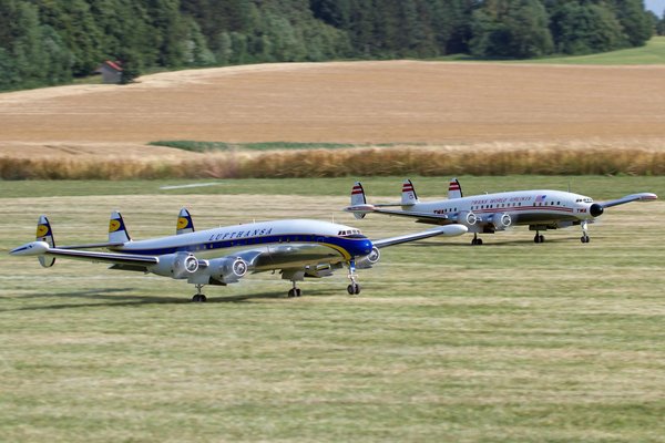 Maîtrisez le Sébum de Votre Peau : Explorez les Bienfaits Cachés de l'Huile de Jojoba !